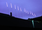 Night Grass